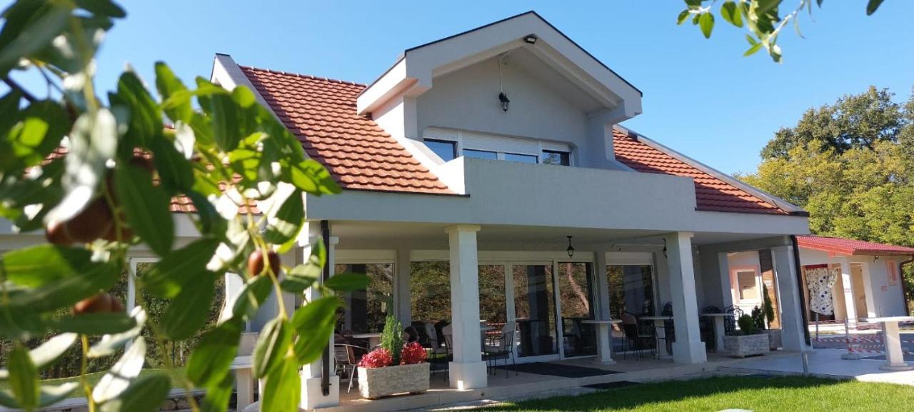 Seosko Domacinstvo Jovanovic Danilovgrad Exteriör bild
